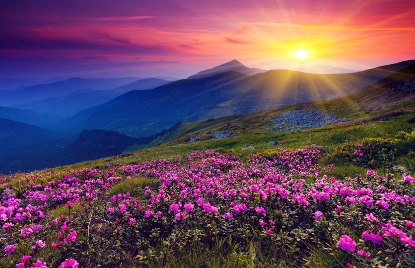 photography land